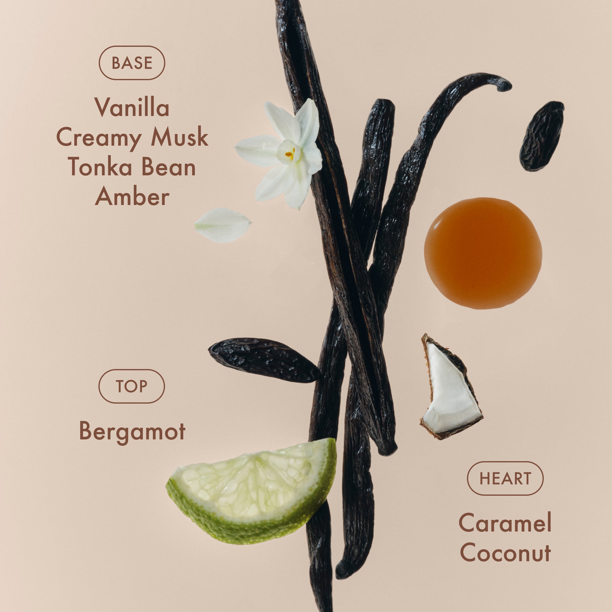 Sunlit Vanilla Eau de Parfum - Image 3